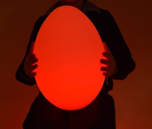 led egg web
