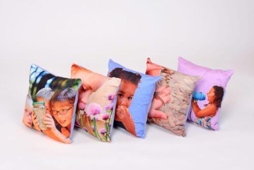Scatter Cushions
