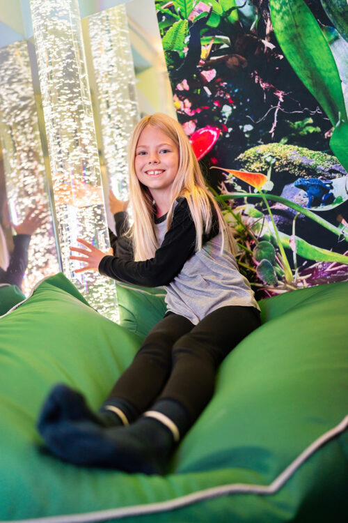 The Rainforest Sensory Room Package
