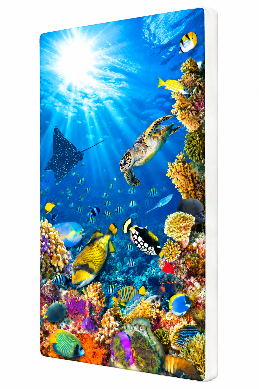 Sensory Wall Pads - Image 2